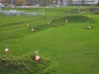 IMG 0828