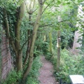 150-5017 IMG