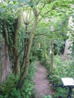 150-5017 IMG