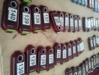 Pr  paGEC 4