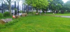 IMG 20240601 163931