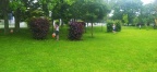 IMG 20240601 164111