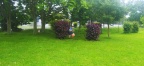 IMG 20240601 164205