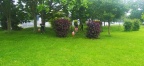 IMG 20240601 164200