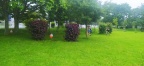 IMG 20240601 164317